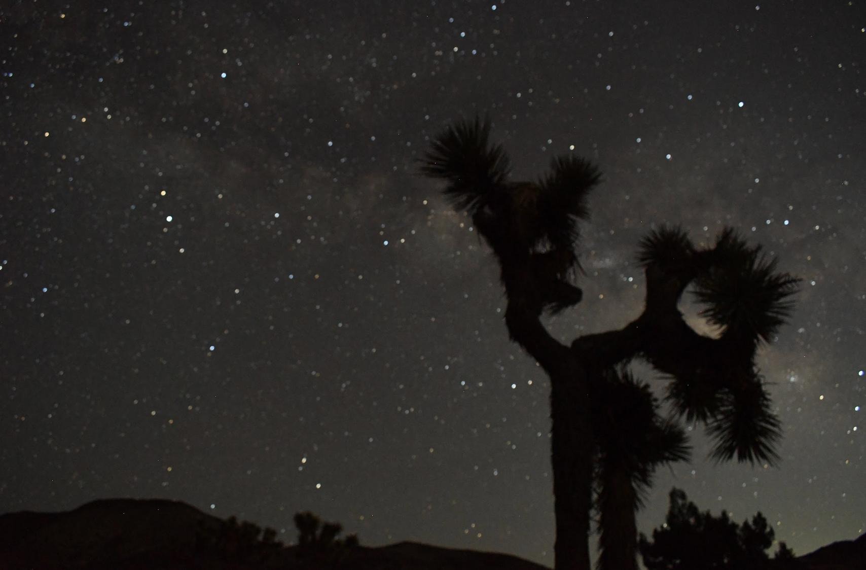 Joshua Tree National Park