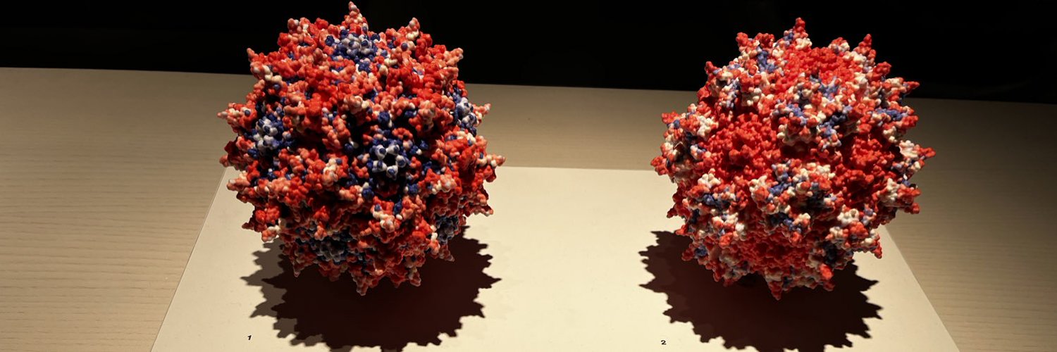 AAV capsid display at the MIT Museum