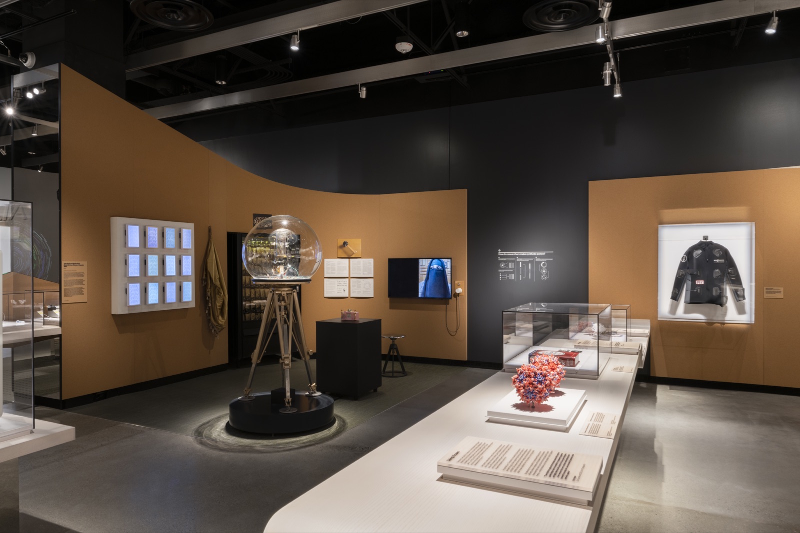 AAV capsid display at the MIT Museum
